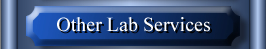 Other Lab Services